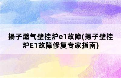 揚子燃气壁挂炉e1故障(揚子壁挂炉E1故障修复专家指南)