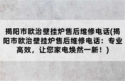 揭阳市欧治壁挂炉售后维修电话(揭阳市欧治壁挂炉售后维修电话：专业高效，让您家电焕然一新！)