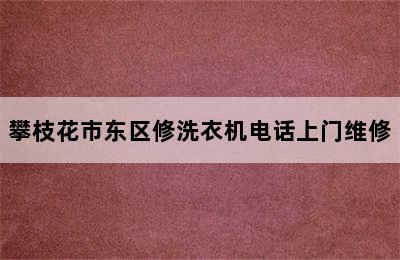 攀枝花市东区修洗衣机电话上门维修