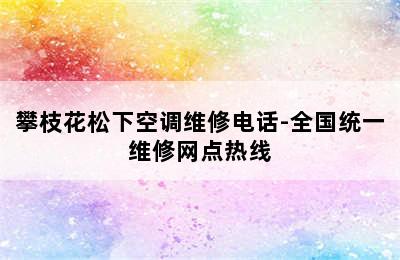 攀枝花松下空调维修电话-全国统一维修网点热线