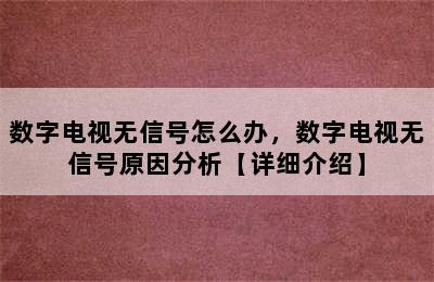 数字电视无信号怎么办，数字电视无信号原因分析【详细介绍】