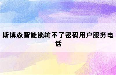 斯博森智能锁输不了密码用户服务电话