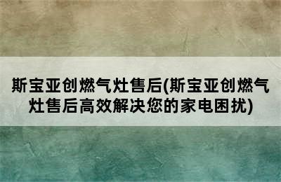 斯宝亚创燃气灶售后(斯宝亚创燃气灶售后高效解决您的家电困扰)