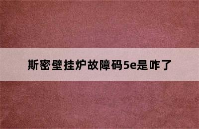 斯密壁挂炉故障码5e是咋了