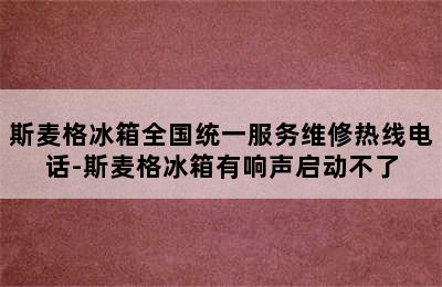 斯麦格冰箱全国统一服务维修热线电话-斯麦格冰箱有响声启动不了