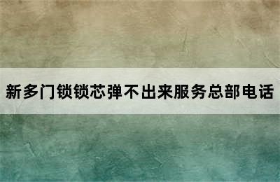 新多门锁锁芯弹不出来服务总部电话