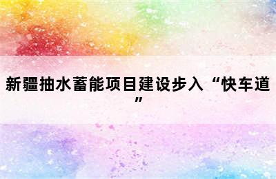 新疆抽水蓄能项目建设步入“快车道”