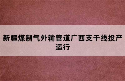 新疆煤制气外输管道广西支干线投产运行