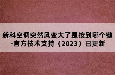 新科空调突然风变大了是按到哪个键-官方技术支持（2023）已更新