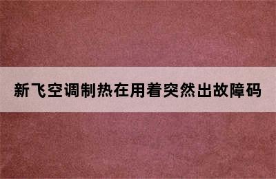 新飞空调制热在用着突然出故障码