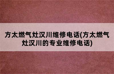 方太燃气灶汉川维修电话(方太燃气灶汉川的专业维修电话)