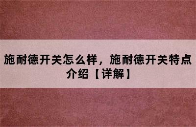 施耐德开关怎么样，施耐德开关特点介绍【详解】