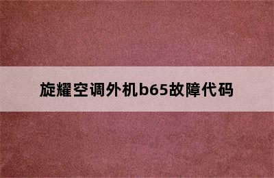 旋耀空调外机b65故障代码