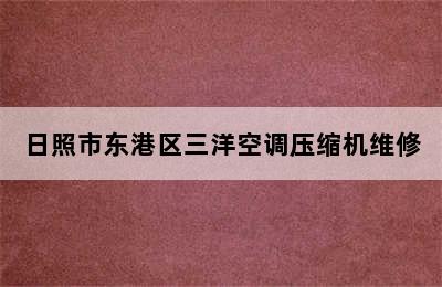 日照市东港区三洋空调压缩机维修