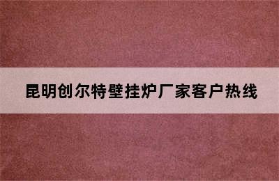 昆明创尔特壁挂炉厂家客户热线