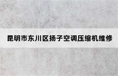 昆明市东川区扬子空调压缩机维修