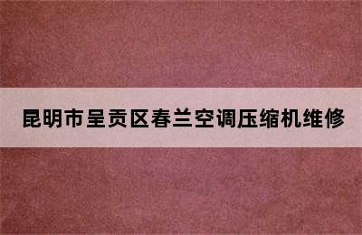 昆明市呈贡区春兰空调压缩机维修