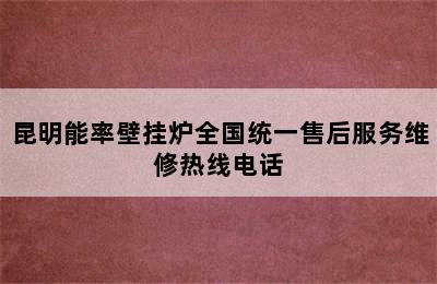 昆明能率壁挂炉全国统一售后服务维修热线电话