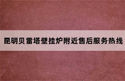 昆明贝雷塔壁挂炉附近售后服务热线