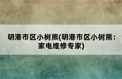 明港市区小树熊(明港市区小树熊：家电维修专家)