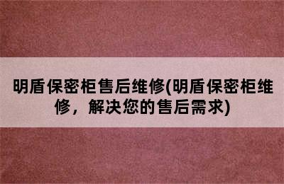 明盾保密柜售后维修(明盾保密柜维修，解决您的售后需求)