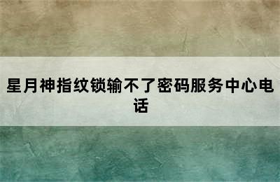 星月神指纹锁输不了密码服务中心电话