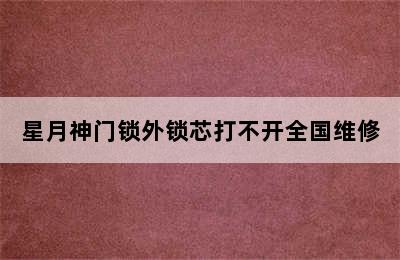 星月神门锁外锁芯打不开全国维修