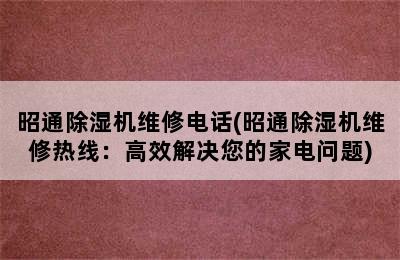 昭通除湿机维修电话(昭通除湿机维修热线：高效解决您的家电问题)