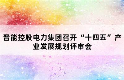 晋能控股电力集团召开“十四五”产业发展规划评审会