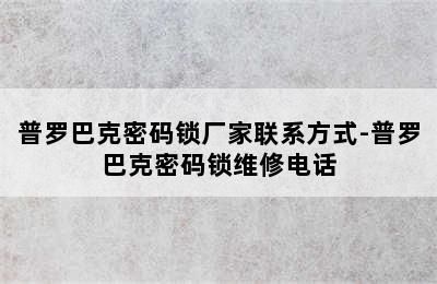 普罗巴克密码锁厂家联系方式-普罗巴克密码锁维修电话