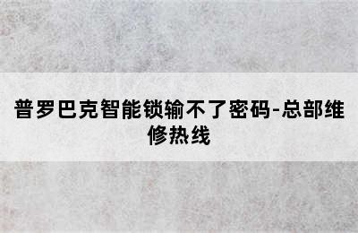 普罗巴克智能锁输不了密码-总部维修热线