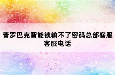 普罗巴克智能锁输不了密码总部客服客服电话