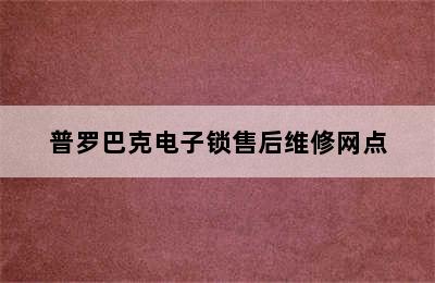 普罗巴克电子锁售后维修网点