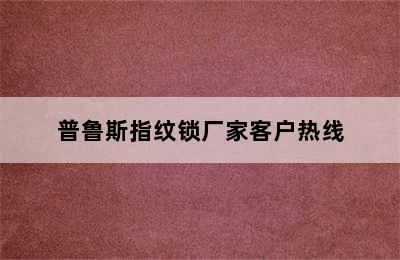 普鲁斯指纹锁厂家客户热线