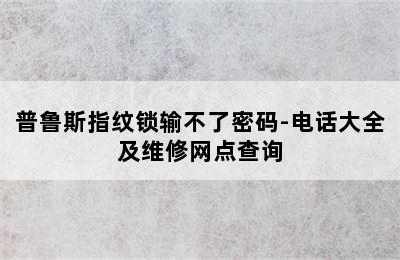 普鲁斯指纹锁输不了密码-电话大全及维修网点查询