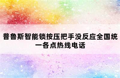 普鲁斯智能锁按压把手没反应全国统一各点热线电话