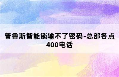 普鲁斯智能锁输不了密码-总部各点400电话