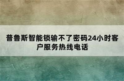 普鲁斯智能锁输不了密码24小时客户服务热线电话