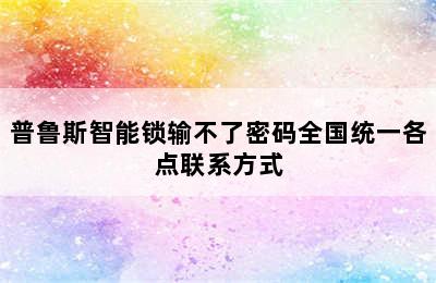 普鲁斯智能锁输不了密码全国统一各点联系方式