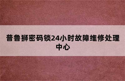 普鲁狮密码锁24小时故障维修处理中心