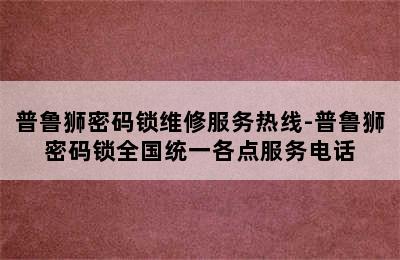 普鲁狮密码锁维修服务热线-普鲁狮密码锁全国统一各点服务电话