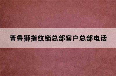 普鲁狮指纹锁总部客户总部电话