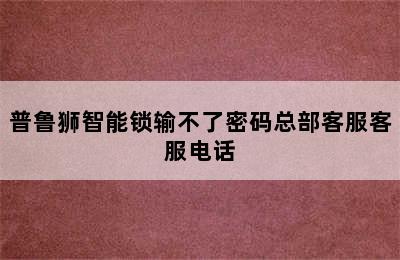 普鲁狮智能锁输不了密码总部客服客服电话