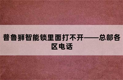 普鲁狮智能锁里面打不开——总部各区电话