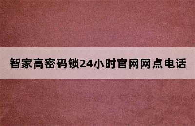 智家高密码锁24小时官网网点电话