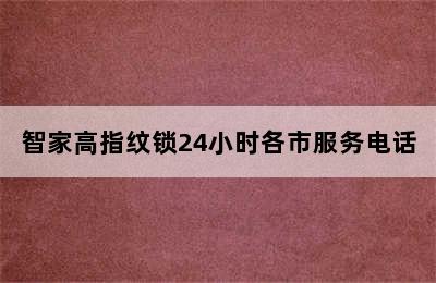 智家高指纹锁24小时各市服务电话