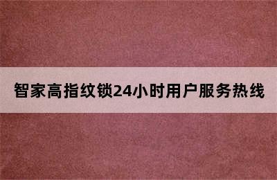 智家高指纹锁24小时用户服务热线