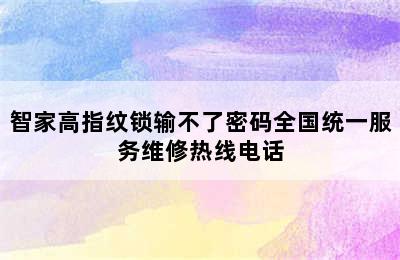 智家高指纹锁输不了密码全国统一服务维修热线电话