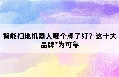 智能扫地机器人哪个牌子好？这十大品牌*为可靠