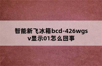 智能新飞冰箱bcd-426wgsv显示01怎么回事